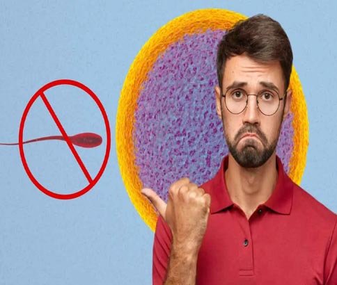 Nil / Low Sperm Count