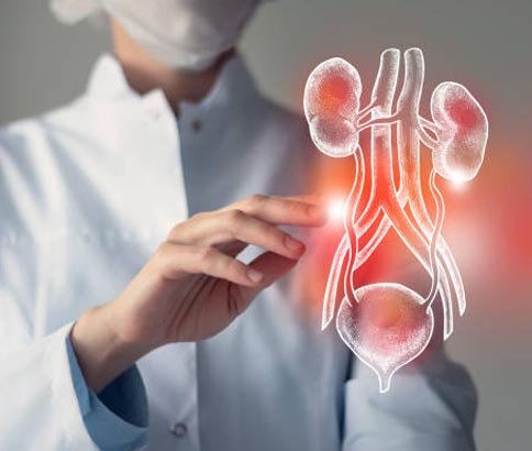 Urinary Tract Infections - UTI