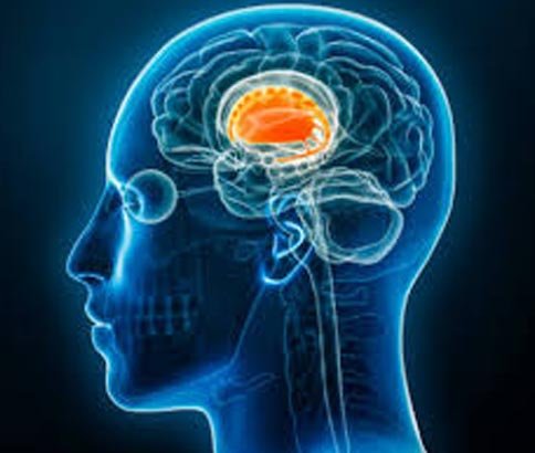 Parkinson disease